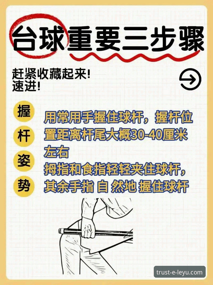 乐鱼体育平台安全使用必备指南：从入门到畅玩的实用解析